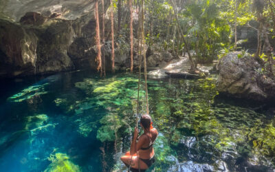 Cénotes près de Playa del Carmen : lequel choisir ?