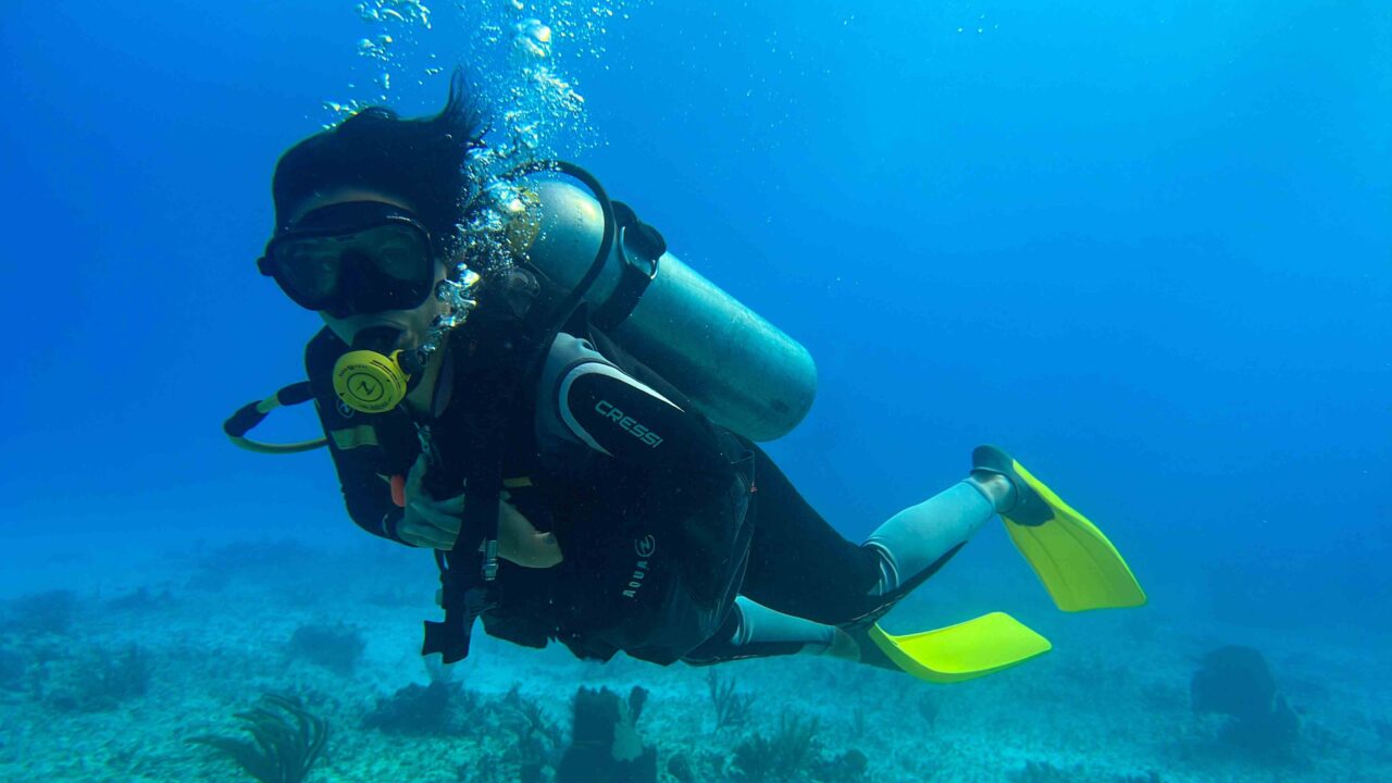 Plongeur équipé d’une bouteille et de palmes jaunes au-dessus du fond marin.