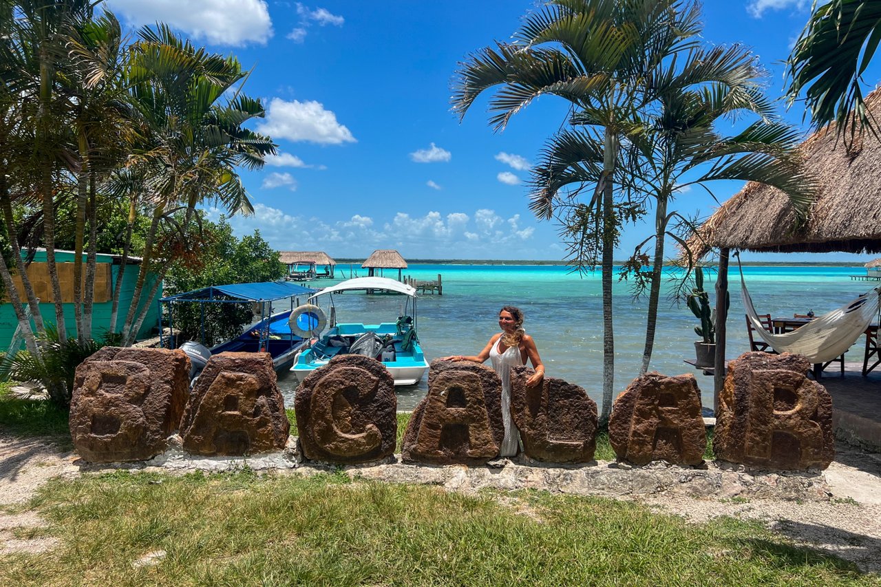 "Bacalar, le paradis turquoise : Tortue se prélassant dans les eaux cristallines du lagon."