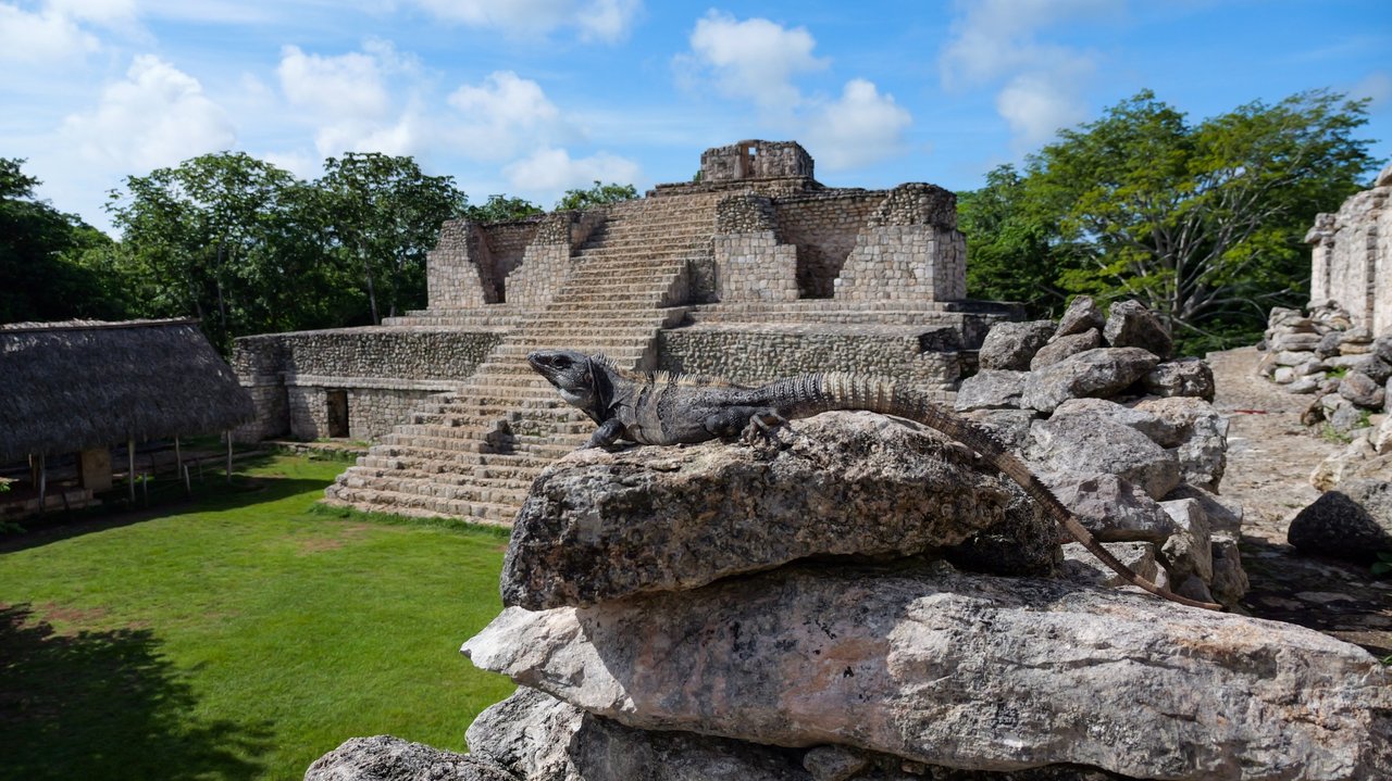 ek-balam-animale-hauteur-temple-vue