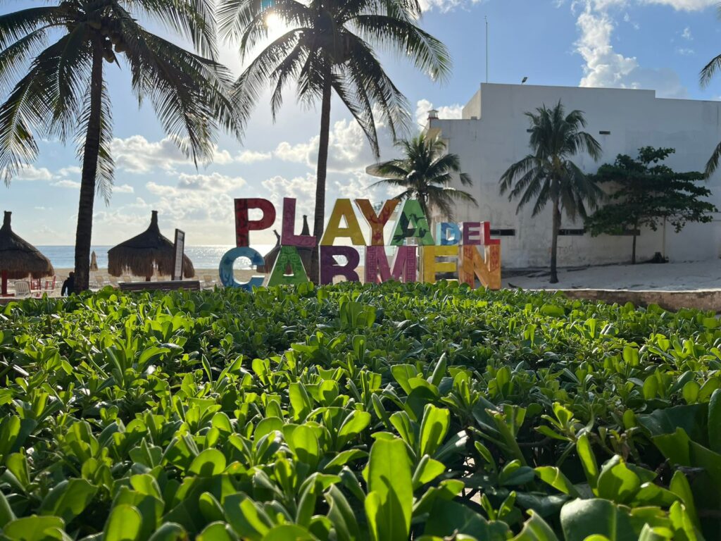 Playa del Carmen, palmiers et plage