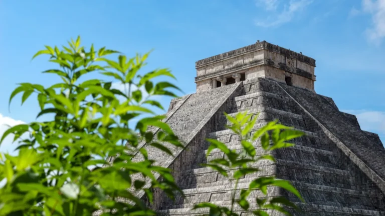 Pyramide de Kukulcán à Chichén Itzá derrière des feuillages